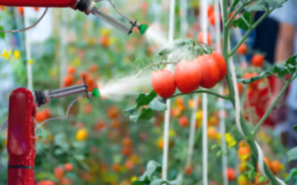 How Technology Is Shaping the Future of Food Production